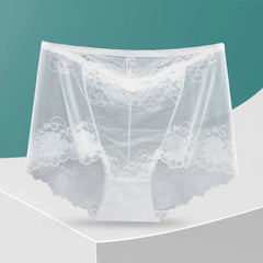 Women's Plus Size Seamless Mesh Panties – High Waist Hollow Out Sexy Briefs | Ropa Interior
