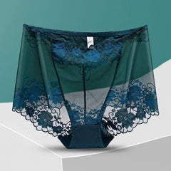 Women's Plus Size Seamless Mesh Panties – High Waist Hollow Out Sexy Briefs | Ropa Interior